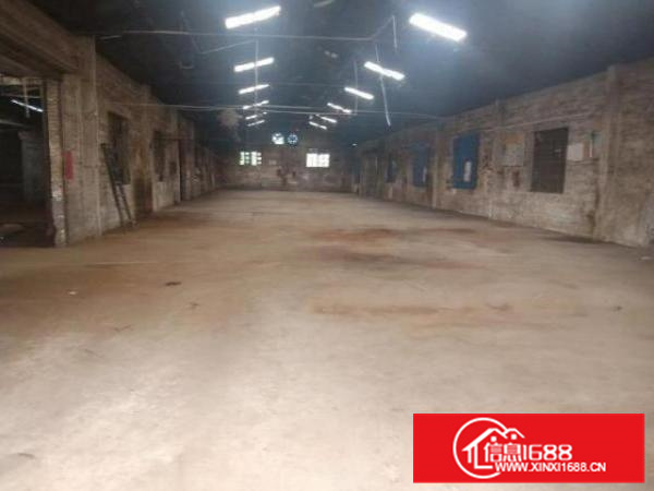 乐从大墩工业区大路边独院厂房