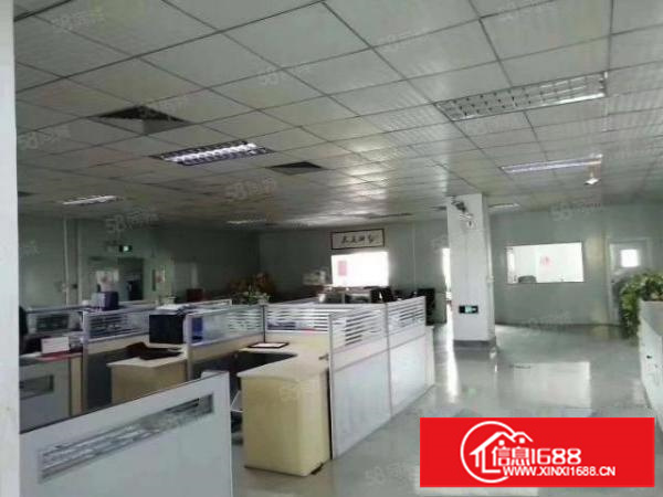 石岩新出商业型适合，酒店，医院，培训，学校，15000平出租