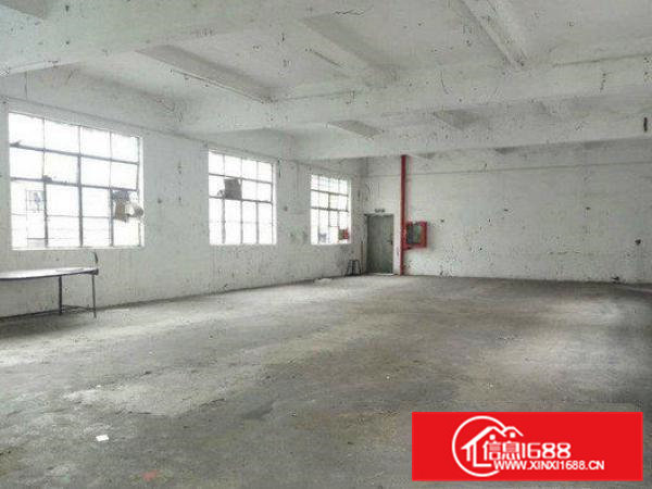 常平金美现有楼上700平米带装修厂房水电齐全