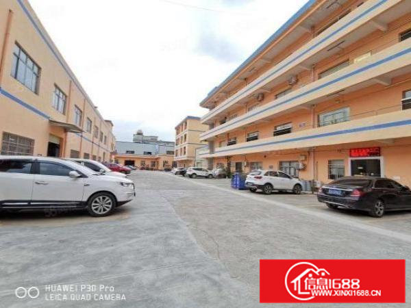 清溪松岗原房东楼上500平出租！