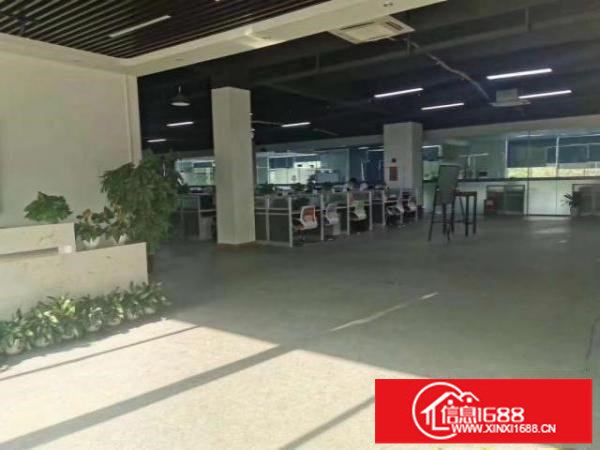 观澜观光路旁原房东，价格实惠