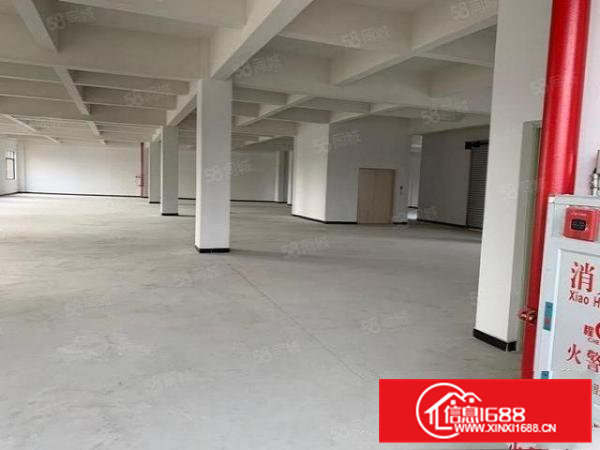 一看即中大朗巷尾独栋三层600平民房出租形象漂亮