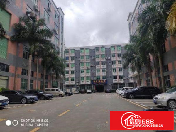 龙华大浪花园式园区180~1500平厂房仓库出租原房东