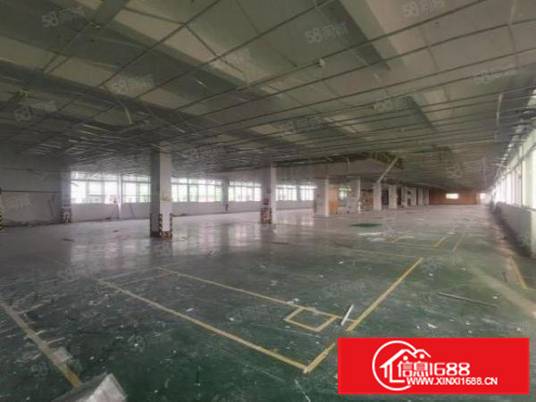 茶山超朗新出独门独院厂房带电镀环评交通便利空地大招工方便