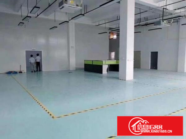 沙井后亭一楼整层厂房出租