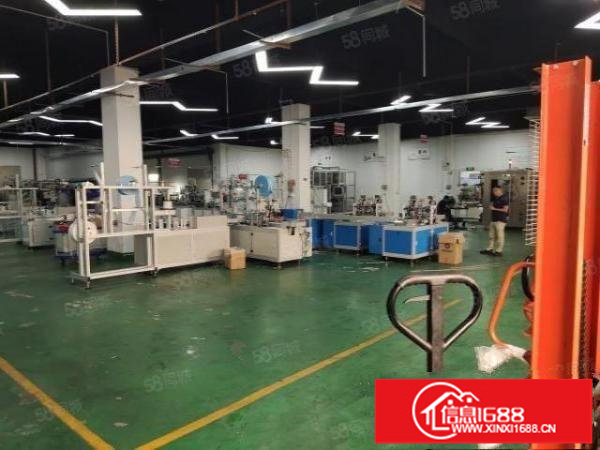 原房东实际面积一楼厂房1000平方带现成装修好的办公室和水电