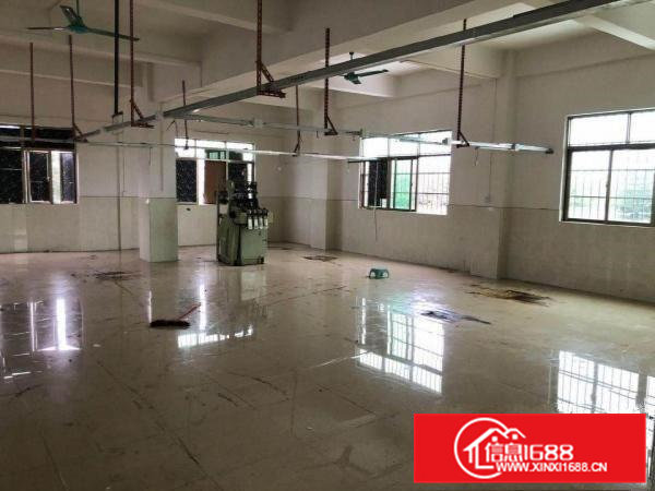 寮步良边寮茶路300平标准厂房，月租只要三千