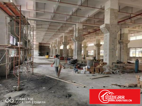 原房东一楼9米高带牛腿独门独院厂房出租工业用地环评包过