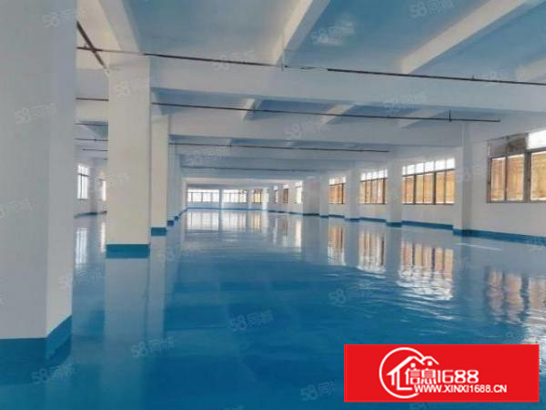 万江简沙洲精装修标准厂房650出租，全新货梯及地坪漆