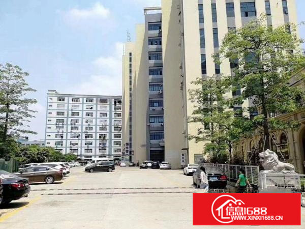 企石新出原房东独院厂房标准8100 单一层1700