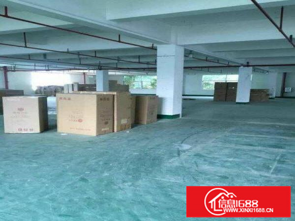 惠阳原房东独院5400平方租12元