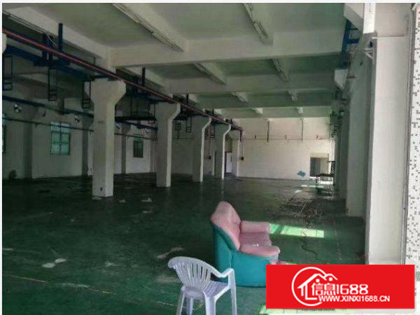 平湖良安原房东700平米标准一楼出租可接受任何行业