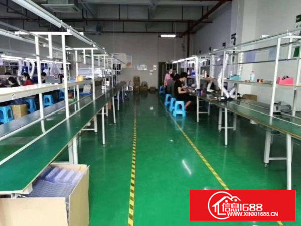 长安乌沙新出楼上1600平米厂房出租，（办公室）豪华装修