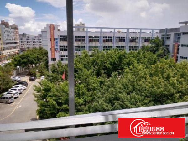 沙井和一原房东实际面积厂房出租