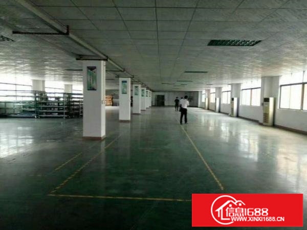 丹竹头楼上1680平米办公仓库出租（可分租）