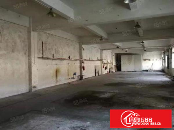 茶山镇全新单一层滴水8米证件齐全可做工业或商业