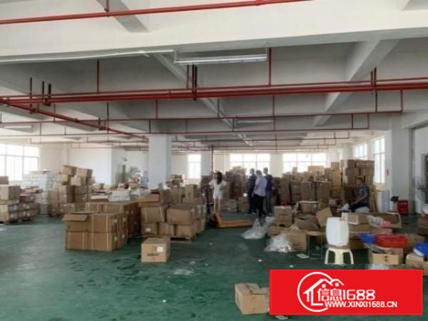 茶山超朗村标准厂房一楼400平方招租