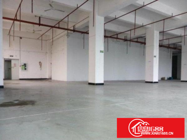 龙岗同乐浪背工业区独院4600平红本厂房招租