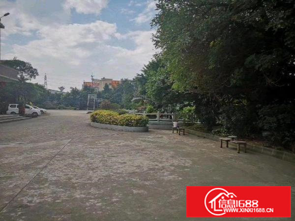 大朗独院花园式厂房出租