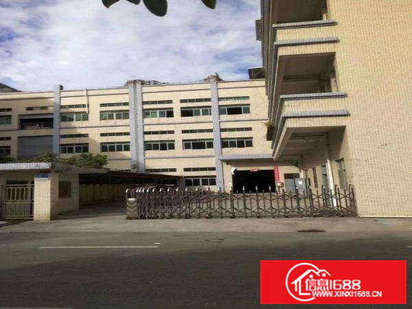 企石镇原房东标准厂房分租二楼1900方标准厂房分租原房东厂房