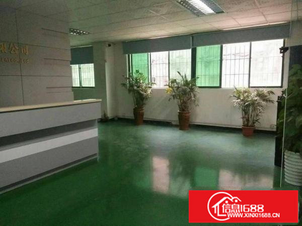 龙岗宝龙楼上2480平红本精装修厂房出租，免转让