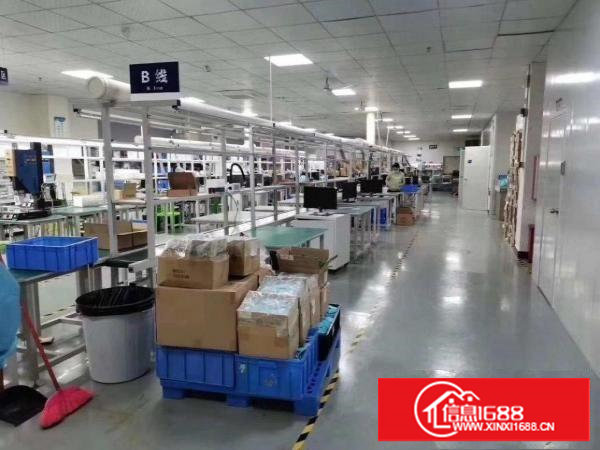 经济实惠，干净卫生的厂房