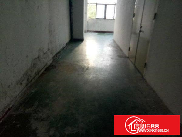 松岗大田洋220平标准厂房出租，公摊小，便利，实图