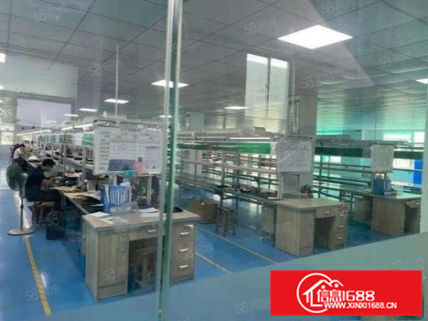 常平原房东可办环评独院厂房出租