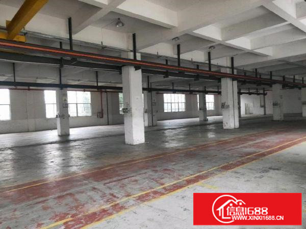 大朗靠近黄江新出一楼2500平米厂房出租可以分租