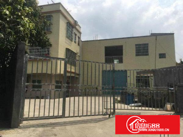 塘厦蛟乙塘1000平方米二层独栋标准厂房招租