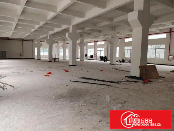 独门独院，标准三层，空地3000平方