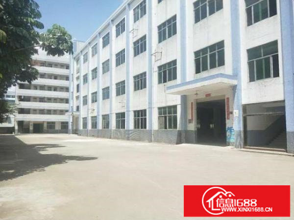 龙岗南联厂房出租500平有装修办公室地坪漆