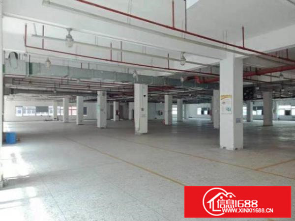 龙华标准原房东厂房31000出租