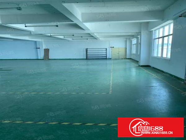 坂田上雪科技城楼上1000平招租