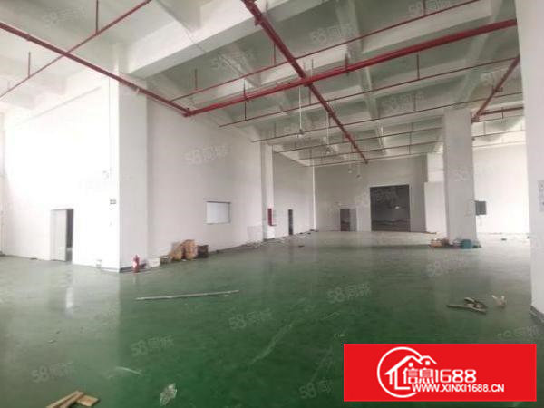 常平司马新出18000平米花园式水电线路齐全独院标准厂房招租