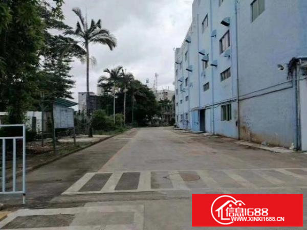 龙华大浪红本独院厂房