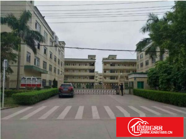 可做生物医疗一一坑梓金典独院厂房2450平方招商