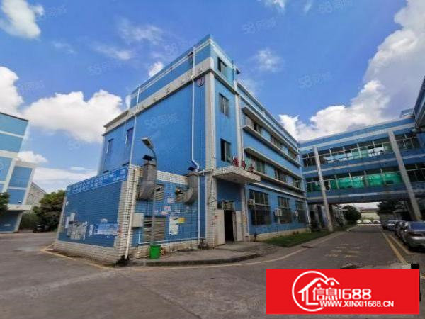 坪山楼上新出700平厂房，带地坪漆