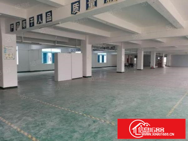 龙岗布吉楼上550平米厂房出租