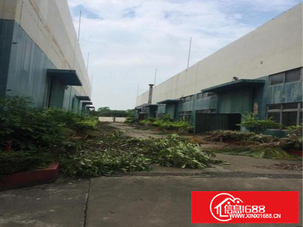 潼侨花园式独门独院厂房.7000平方，可分租，