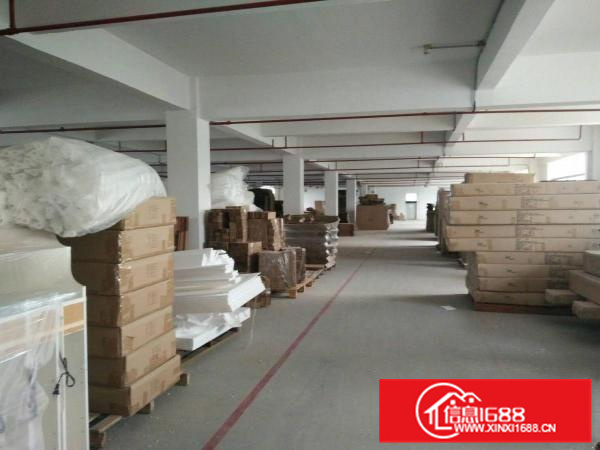 （招租）大亚湾西区工业标准厂房1400平带消防喷淋