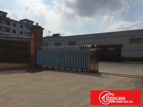 石排新出大型单一层厂房2000平方出租