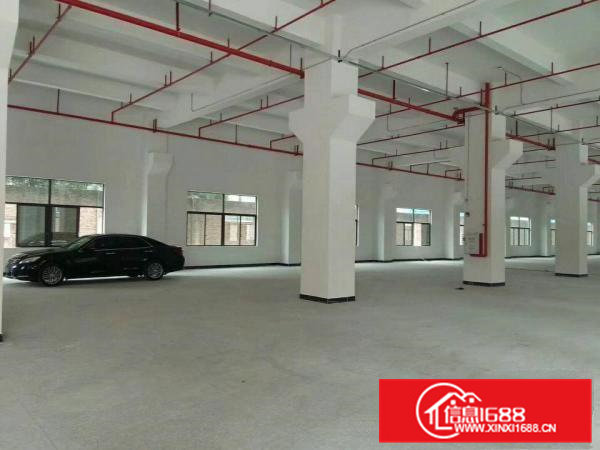 东坑路口新出独院一楼1600平可分租空地大16块