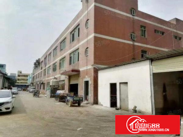 看图！林村工业区私人房东小独院出租，空地大，面积实在