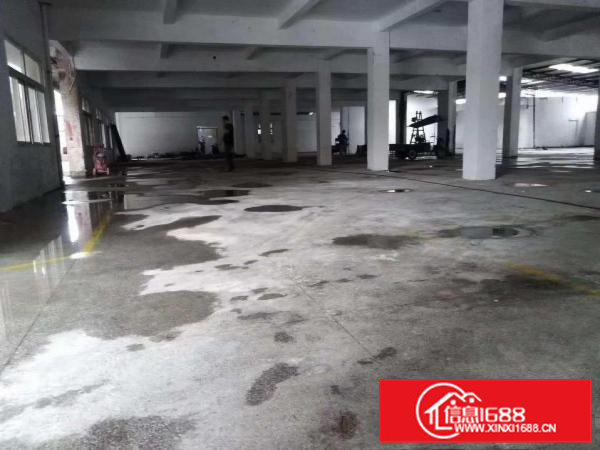 茶山镇卢边村经典独院两层厂房2300平方出租