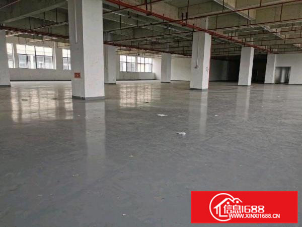 大朗镇工业区厂房出租