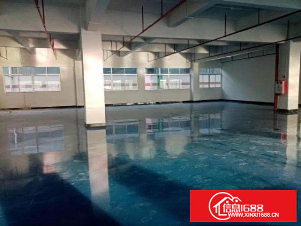 出租常平镇袁山贝310平方全新装修带水电交通方便