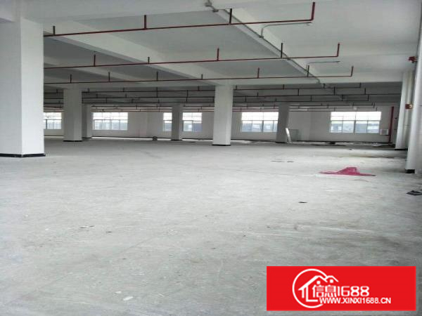 仲恺八路主干道边上全新厂房2800平可分租