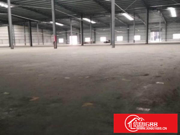 虎门新出单一层钢构9800平方，滴水9米，合适物流或仓库