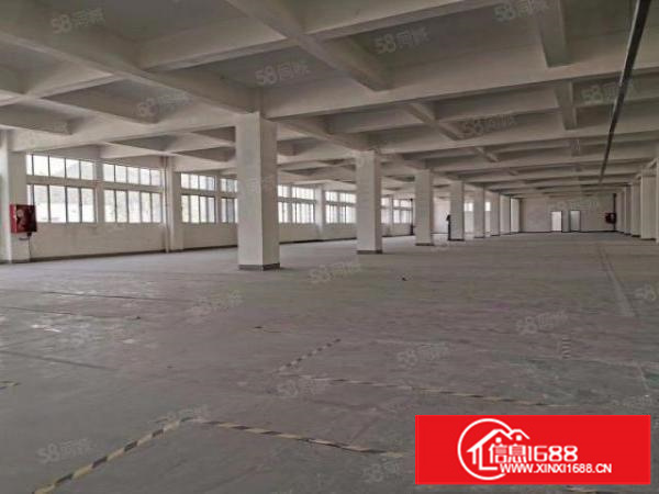 证件齐全空地大茶山镇原房东新出独院厂房2000平方出租